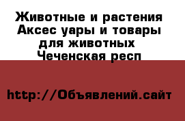 Животные и растения Аксесcуары и товары для животных. Чеченская респ.